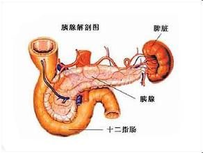 主動脈腸道瘺