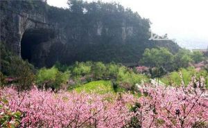 酉陽桃花源國家森林公園