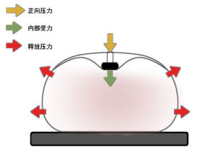 心肺復甦機第一代“點式按壓”受力圖