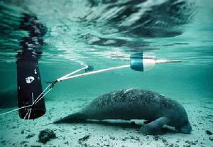 朱賈國家鳥類保護區