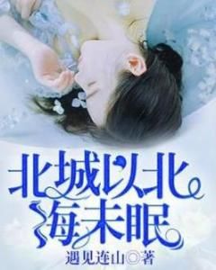 北城以北海未眠 北城以北海未眠