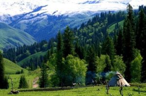 那拉提森林公園 那拉提森林公園