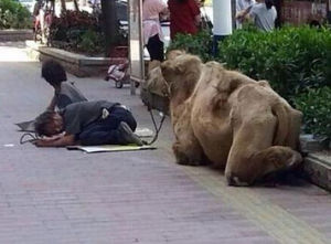 虐待式乞討 虐待式乞討