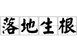 落地生根[漢語成語]