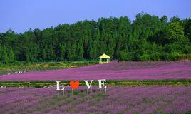 鳳凰塘橋·香薰山谷 鳳凰塘橋·香薰山谷