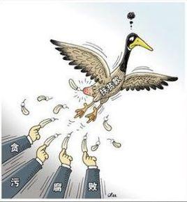 雁過拔毛式腐敗 雁過拔毛式腐敗