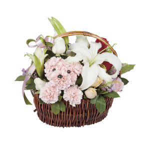 花速百科-小狗花籃產品圖