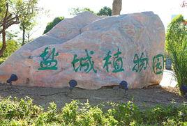 鹽城植物園 鹽城植物園