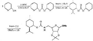 二氨基單羧酸