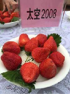 大店鎮草莓 大店鎮草莓