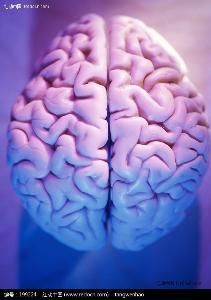 元神之府 元神之府