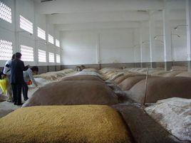 現代釀酒技術 現代釀酒技術