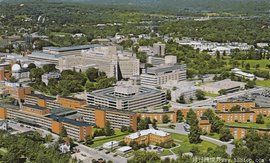 UM[密西根大學的簡稱]