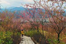 白沙[福建省福州市鄉鎮區劃名稱]