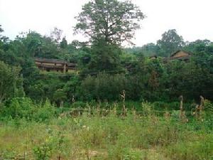 龍壽自然村 龍壽自然村