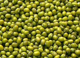 天山大明綠豆 天山大明綠豆