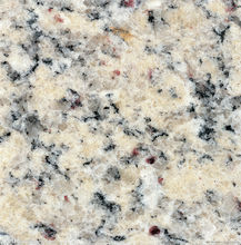 同源包體 同源包體