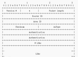 鏈路狀態更新包的格式