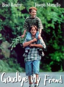 真情世界 真情世界