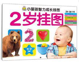 小嬰孩智力成長掛圖-2歲掛圖 小嬰孩智力成長掛圖-2歲掛圖