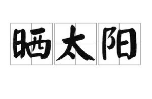 曬太陽[詞語釋義]