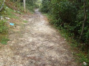 蝙蝠洞自然村 蝙蝠洞自然村