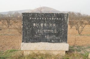 定陵[唐中宗李顯陵寢]