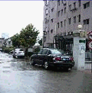 上海市楊浦區工人醫院 上海市楊浦區工人醫院