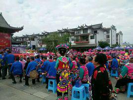 牟定三月會 牟定三月會