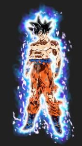 自在極意功 自在極意功