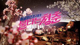 燃燒的青春[燃燒的青春：韓國綜藝]