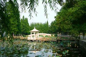 黃岡職業技術學院