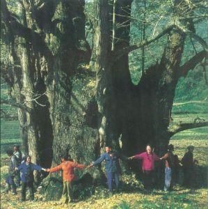 銀杏樹[銀杏科落葉喬木]