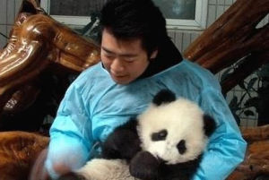 郎朗認養大熊貓