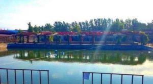 綠茵生態園 綠茵生態園