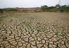 乾旱