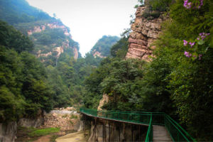 薊縣八仙桌子保護區 薊縣八仙桌子保護區