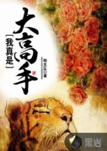 我真是大高手 我真是大高手