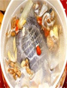 枸杞蒸甲魚 枸杞蒸甲魚