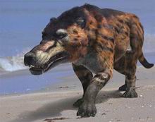 希奇生物 希奇生物