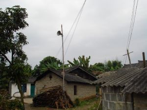 新芒洋村 新芒洋村