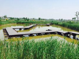 天津光合谷旅遊度假區 天津光合谷旅遊度假區