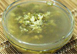 蒲公英綠豆湯 蒲公英綠豆湯