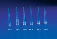 B肝兩對半145陽性 B肝兩對半145陽性