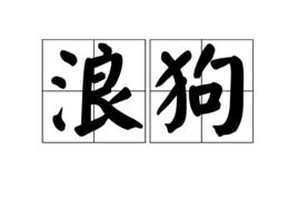 浪狗 浪狗