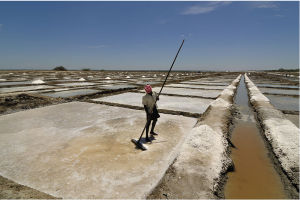 印度泰米爾納德邦的一塊鹽田