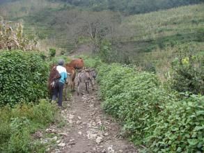 安樂甸村 安樂甸村