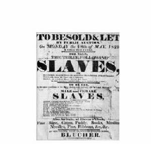 奴隸制和跨大西洋販賣奴隸行為受害者國際日----背景資料