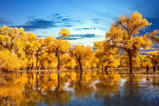 未來2個月國內最美自駕聖地曝光,錯過又要等一年!