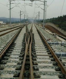 可動心道岔 可動心道岔